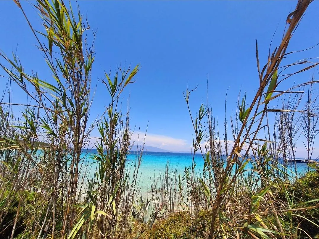 Vanessa Paradise Isola D'Elba Lejlighed Pila  Italien